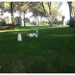 Baia Delle Palme 4* Pula