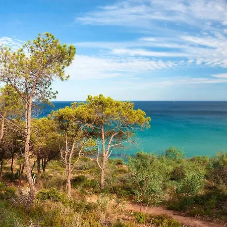 Ξενοδοχείο με διαμερίσματα Baia Delle Palme Pula