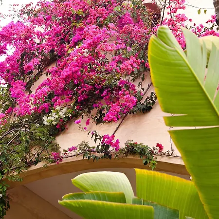 Baia Delle Palme プーラ