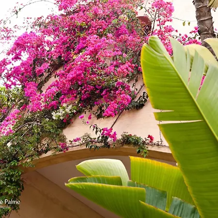 Baia Delle Palme מלון דירות פולה