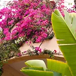 Baia Delle Palme Pula