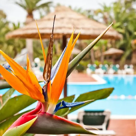 Baia Delle Palme 3* Pula