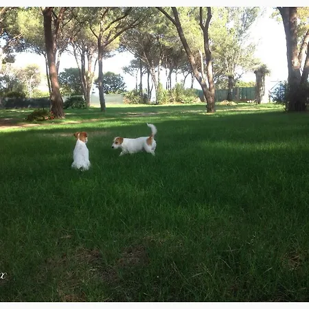 Baia Delle Palme 3* Pula