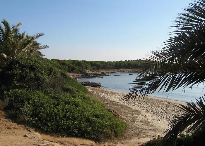 Baia Delle Palme Appart hôtel Pula