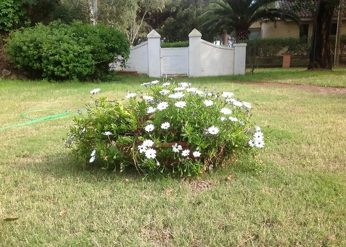 Appart hôtel Baia Delle Palme