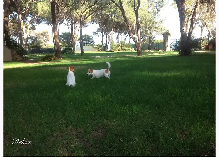 Baia Delle Palme 4* Pula